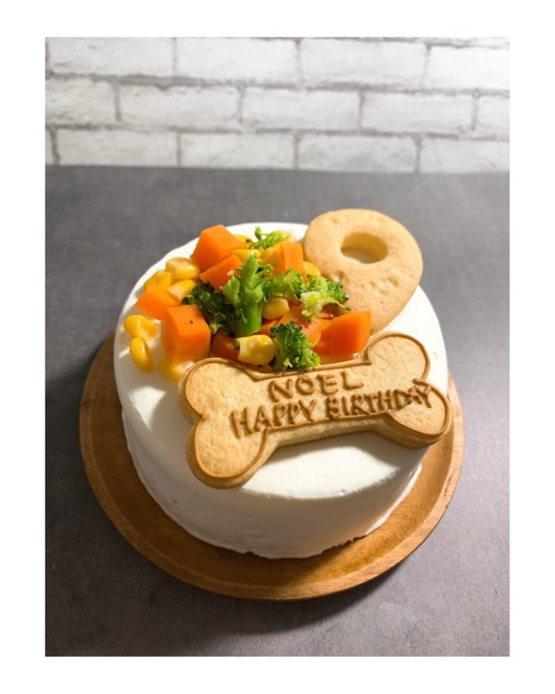 Dog Villa TOWA 〜愛犬と泊まれる貸別荘〜