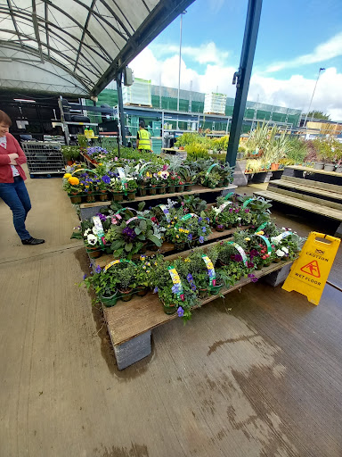 B&Q Boston - Thumbnail