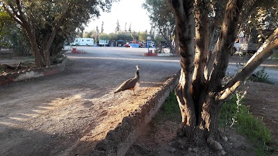 Photos of Camping En Marrakesh