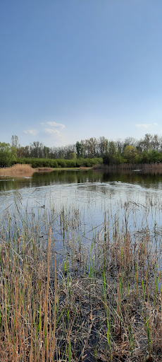 Schutzwald Schwansee - Visual