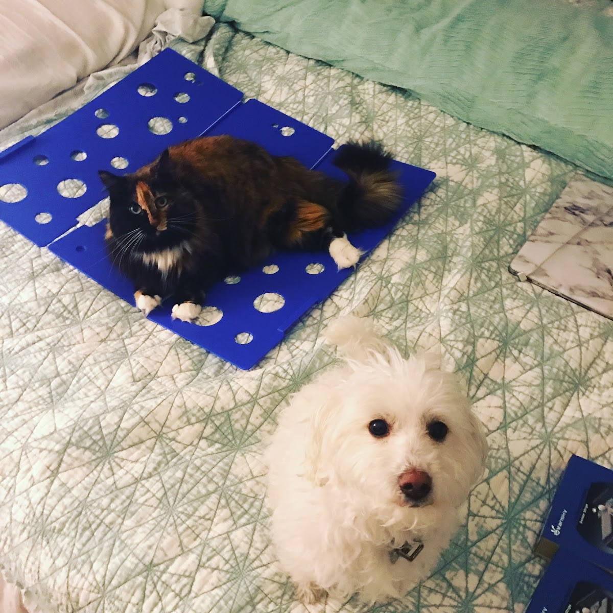 Clean laundry equipment at Life Without Laundry in Boston, MA