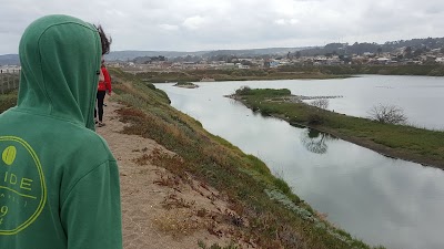 Photos of Estuario De Cartagena
