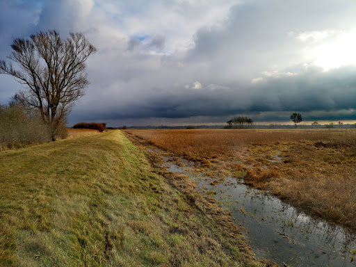 Rietzer See - Visual