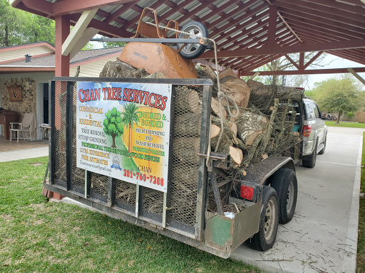 Chan tree services - Visual