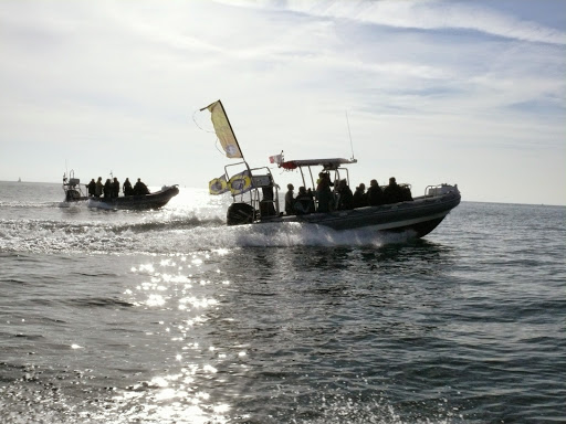 H2JO diving - Visual