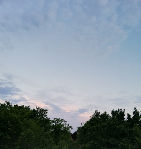 Schule Ernst-Henning-Straße - Thumbnail