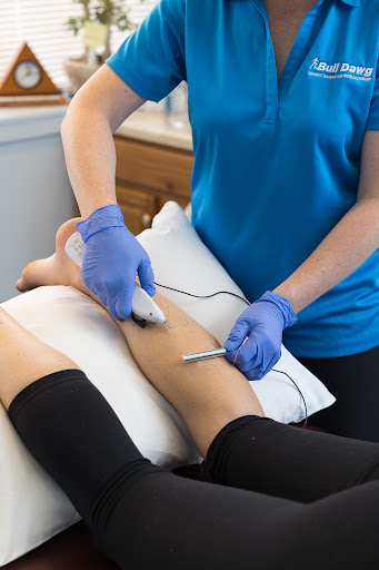 Bull Dawg Athletic Training and Physical Therapy Gallery - United States