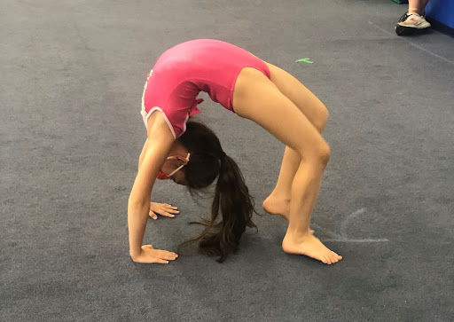 Olympia Gymnastics - Ellisville - Thumbnail