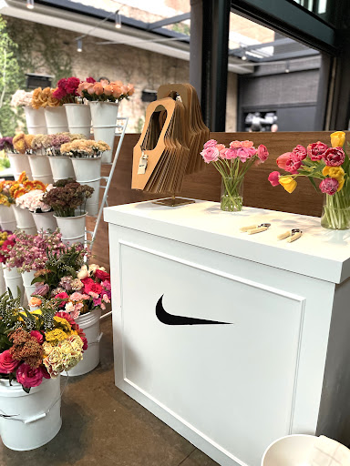 Hello Flower Bar - Visual