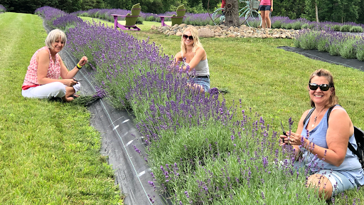Indigo Lavender Farms