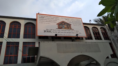 Photos of Back to the Bible