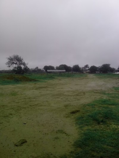 Photos of Zanja Honda