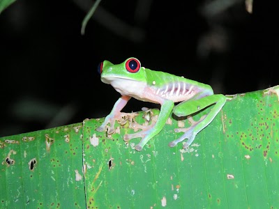 Photos of La Tarde Wildlife Area