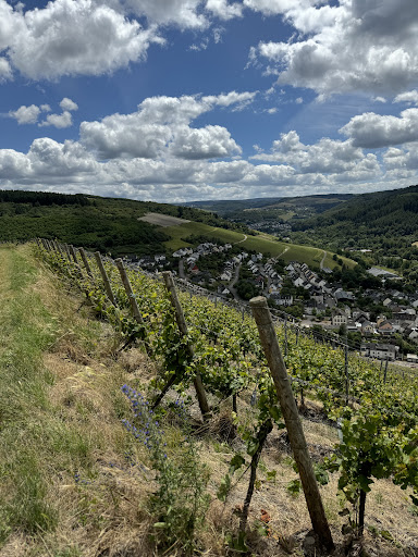 Weinmanufaktur Kasel eG