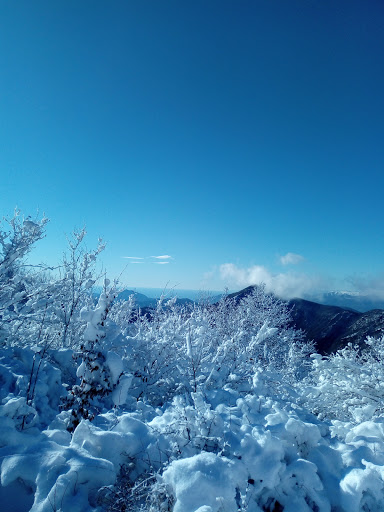 Monte Proventino Gallery - Italy