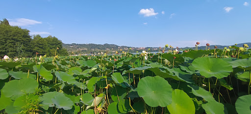 Piverone - Visual