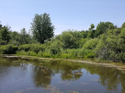 Bysterveld Park