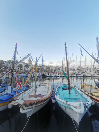 La terrasse du quai Marie Esmenard