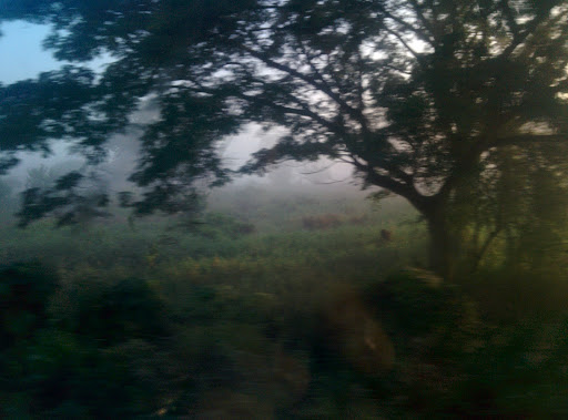 SERVIGAS DE OAXACA - Thumbnail
