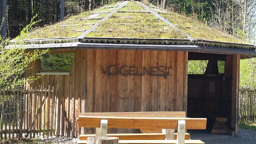 Vogelnest - Visual