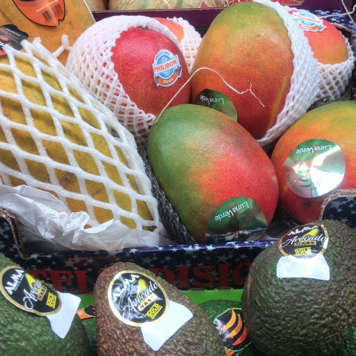 FRUCTUS Vimercate - Visual