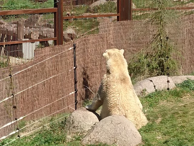 Parc Zoologique et Botanique de Mulhouse
