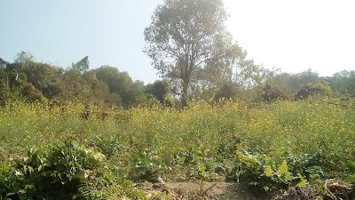 Photos of Chalanda Giripath