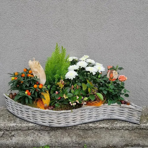 103 Rue du Maréchal Foch, 67380 Lingolsheim