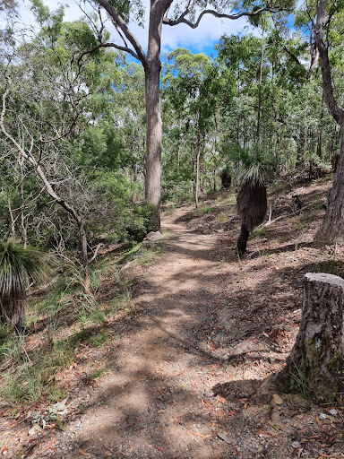 Chermside Hills Reserve - Thumbnail