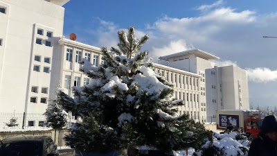 Mustafa Çizmecioğlu Anadolu Lisesi