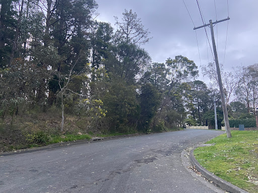 Dirlton Reserve Dog Off Leash Area - Thumbnail