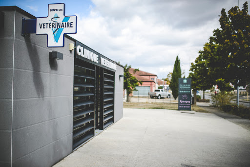 Clinique Vétérinaire L'Arche de Noe - Thumbnail