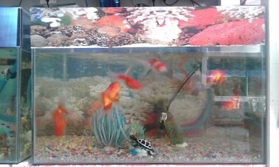 Photos of NABILLA AQUARIUM