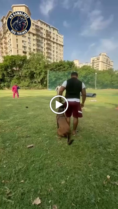 Kamaljeet