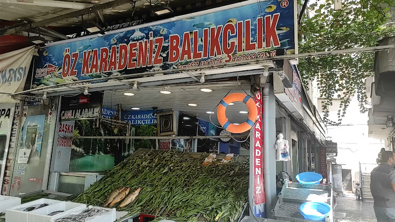 Öz Karadeniz Balıkçılık