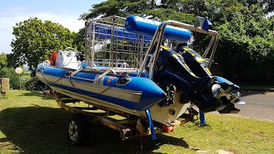 Photos of Blue Wilderness - Shark Cage Diving Adventures