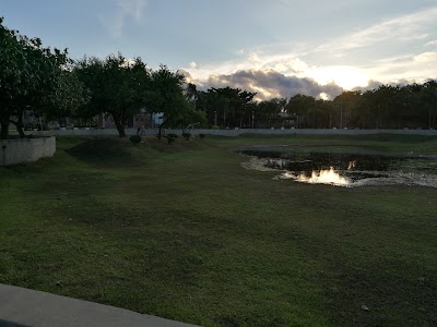 Photos of Parque Urbano Los Olivos