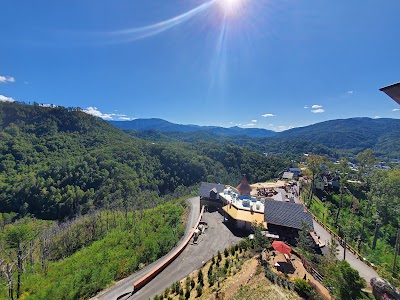 Treehouse Village