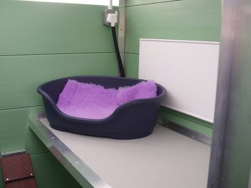 Braeside Cattery & Kennels - Thumbnail