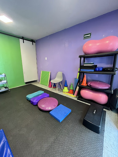 Fisioterapia Veterinaria Roma