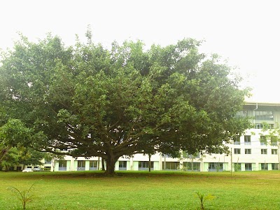 Photos of Faculty of Engineering, University of Ruhuna