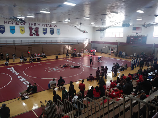 Morton East High School - Thumbnail
