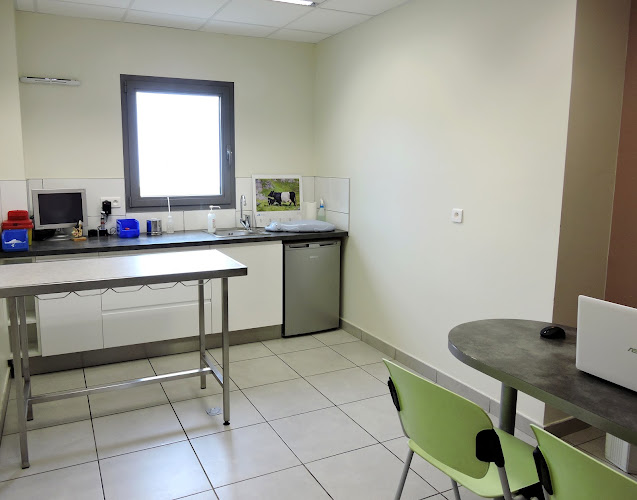 http://www.veterinaire-ruffieu.com/