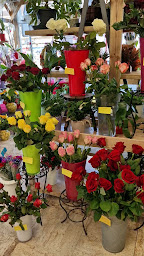 Photo n°2 de Bonnault Fleurs à Combs-la-Ville (Fleuriste)