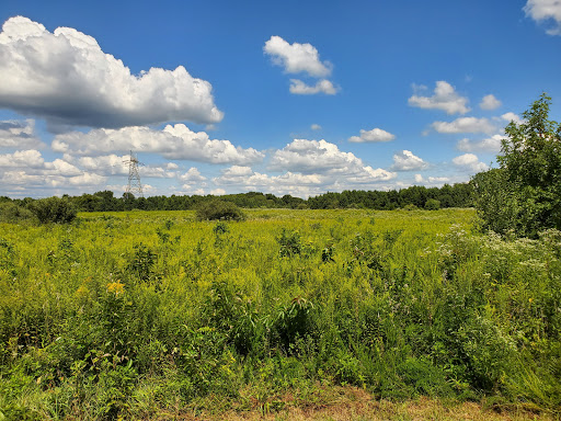 Supawna Wildlife Refuge Observation Point Logo
