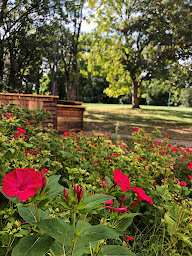 Photo n°15 de Auberge de Jeunesse HI Poitiers à Poitiers (Hostel)