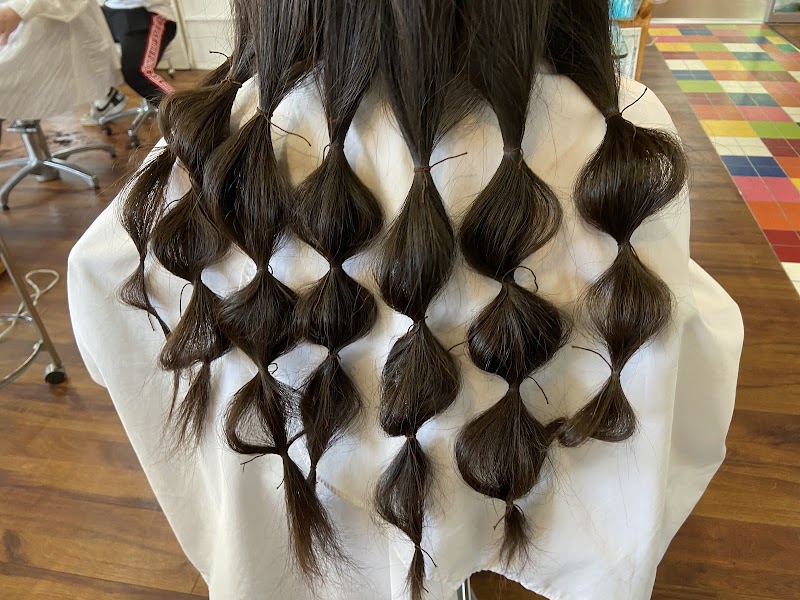 アーチオブヘアー