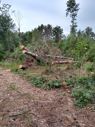 Little Plover River Park - Thumbnail