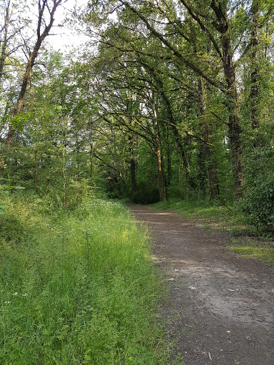 Domaine du Clos vert