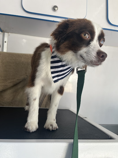 Galactic Guardians Mobile Grooming